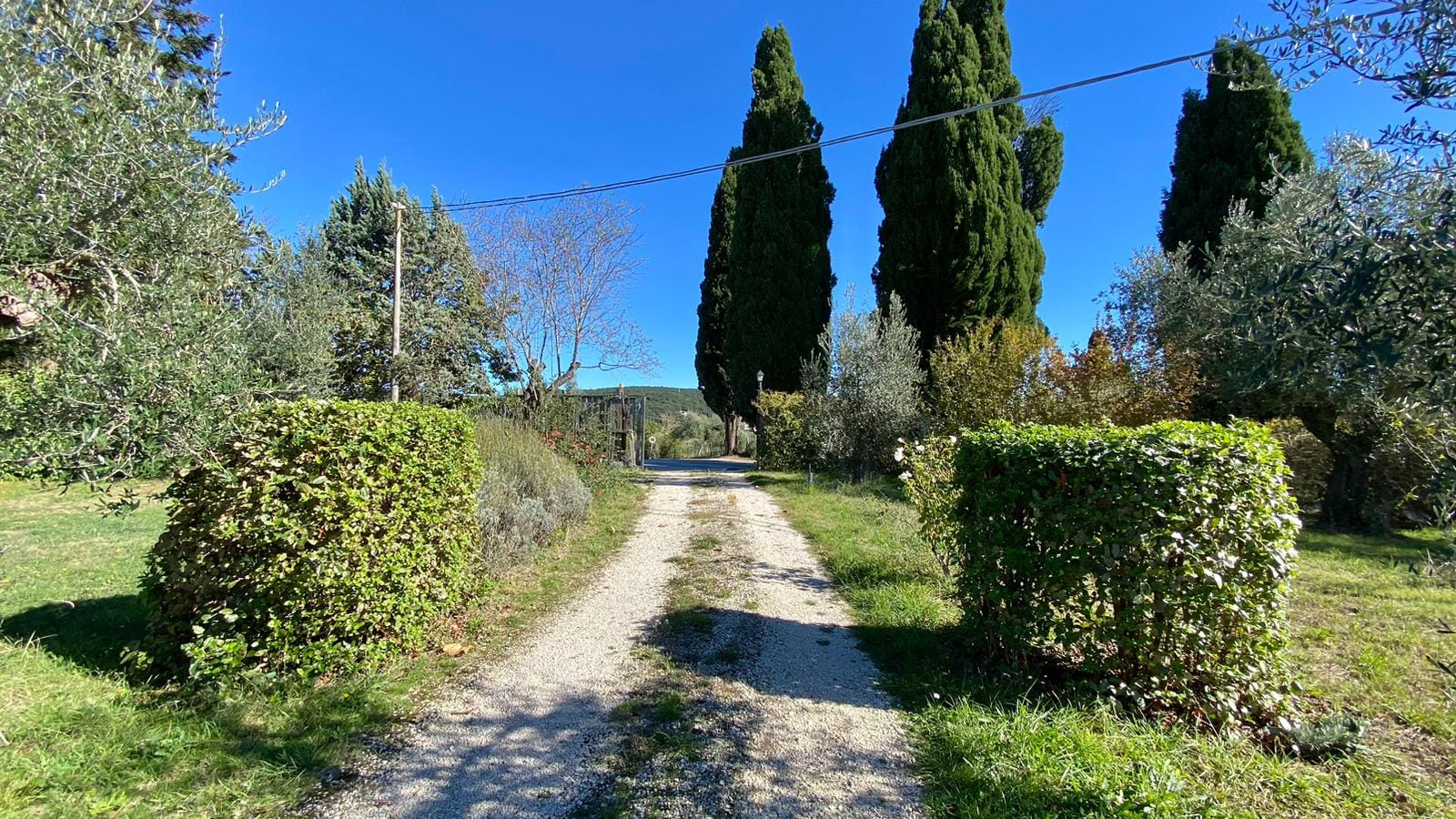 viale di ingresso